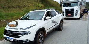 Picape com “chifre de boi” rende multa gravíssima na BR-282