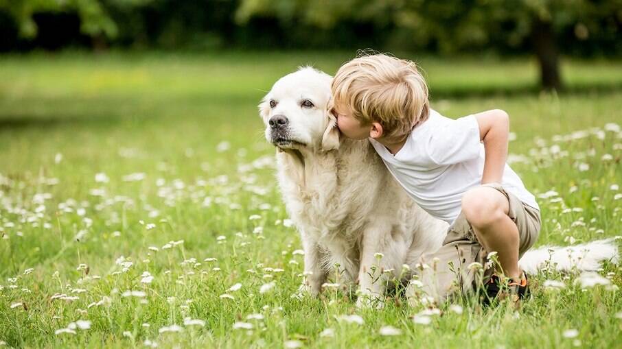 A convivência de crianças com animais de estimação traz diversos benefícios 