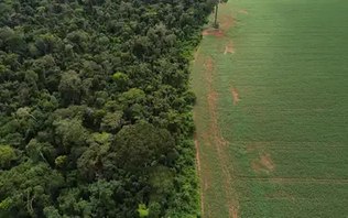 Para Greenpeace, nova lei de licença ambiental é devastadora