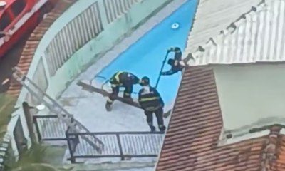 Vídeo: bombeiros pulam muro para salvar rottweiler em piscina