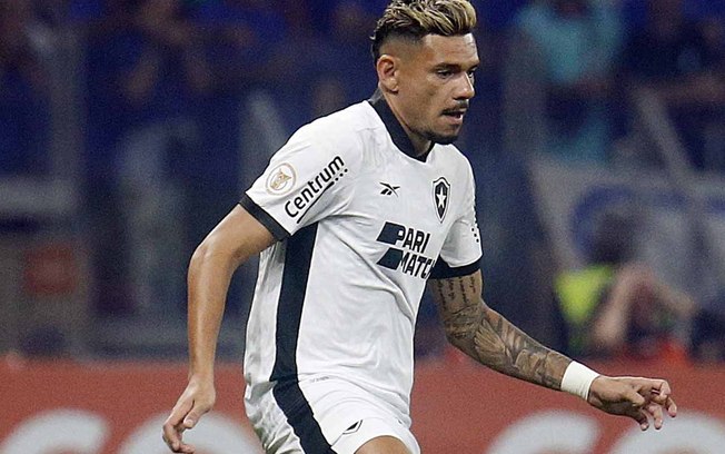 Tiquinho aceitou reduzir o salário para defender o Botafogo Tiquinho aceitou reduzir o salário para defender o Botafogo