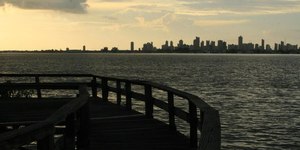 Operação desvenda esquema de fraude e pesca de espécies ameaçadas
