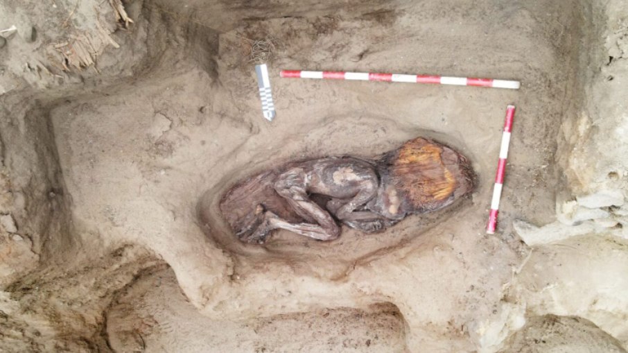 Arqueólogos encontram múmia de 5 mil anos em depósito de lixo Arqueólogos encontram múmia de 5 mil anos em depósito de lixo