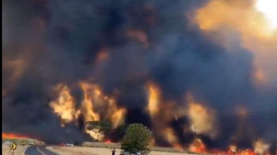 Queimadas em SP levam o estado ao topo do ranking de incêndios desta semana