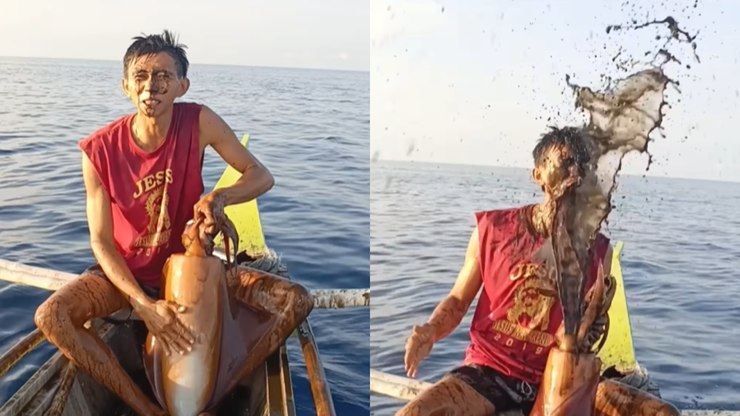 Lula surpreende pescador e reage com jato de tinta