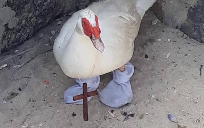 Pato usava meias e crucifixo