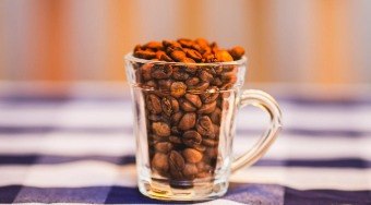 Leil%C3%A3o%20de%20caf%C3%A9s%20especiais%20fatura%20R%24%201%2C8%20milh%C3%A3o