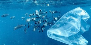 Microplásticos chegam a mais de 2 mil metros no fundo do oceano