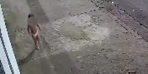 Vídeo: menina de 3 anos é resgatada sozinha na rua, de madrugada
