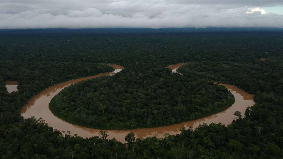 Vale do Javari - Amazonas