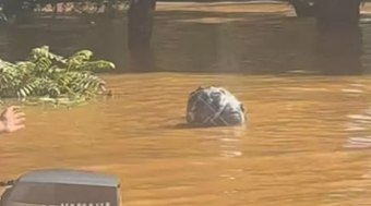 Homem nada em enchente no RS por 5 horas agarrado a saco de roupa