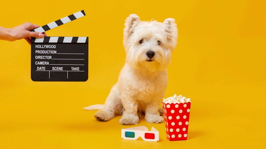 BH prepara sessão de cinema especial para cães e tutores BH prepara sessão de cinema especial para cães e tutores