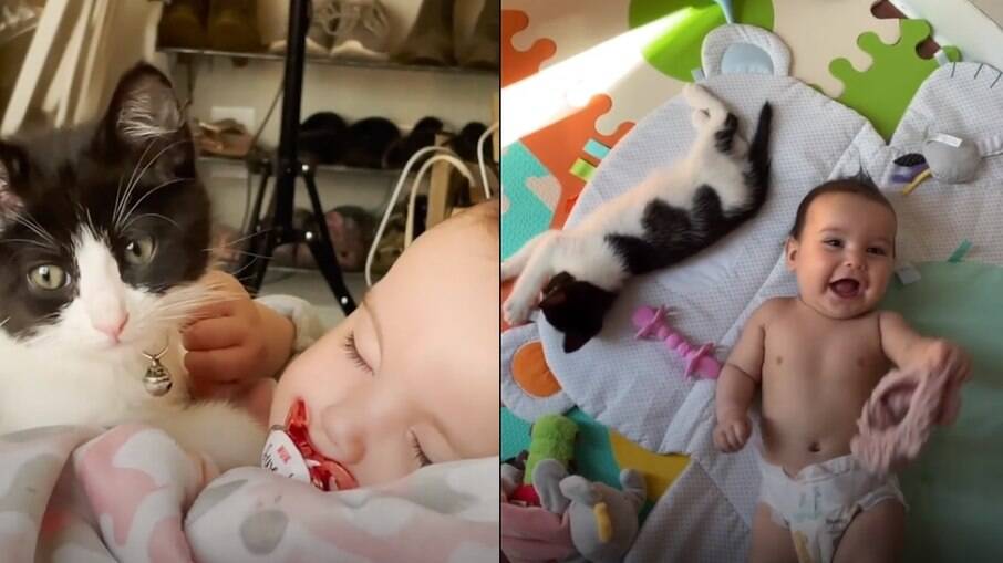 O gatinho Sushi está sempre ao lado da irmãzinha humana, disposto a cuidar dela