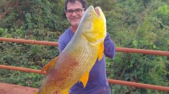 Pescador%20fisga%20dourado%20de%2014%2C5%20kg%20no%20Rio%20Sapuca%C3%AD