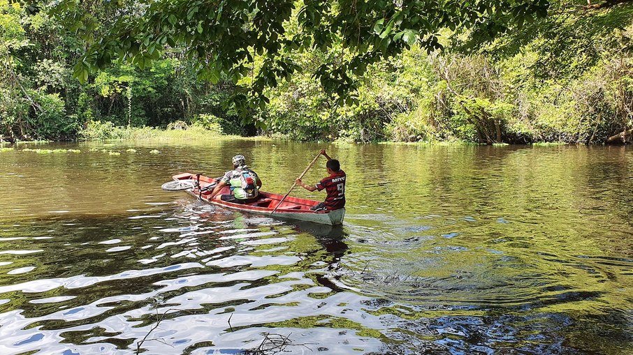 Trilha Amazônia Atlântica
