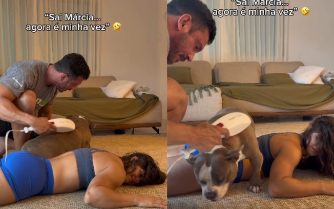 American Bully invade massagem da tutora e tenta garantir sua vez 97f0ci6dqprh3f21nd24p2ale