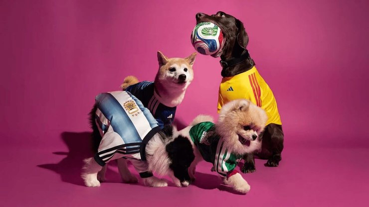 Adidas lança camisa da Copa do Mundo 2026 para cachorros