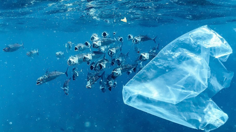 Pesquisadores alertam para o aumento contínuo da presença de microplásticos nos oceanos