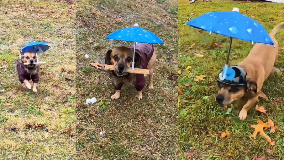 Minion e seu guarda-chuva