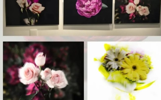 Flores: Malu Mesquita expõe nova série no espaço O Jardim