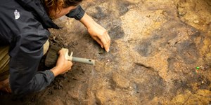 Estudo indica que humanos já controlavam o fogo há 400 mil anos