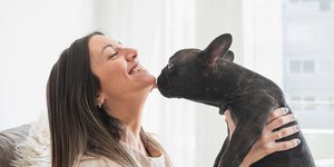 Cães lambem por carinho ou estresse? Entenda o gesto