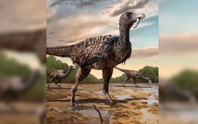 Pegadas mostram como megaraptor ficou enorme com o tempo