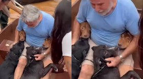 Vídeo: homem se emociona ao resgatar quatro cães no RS
