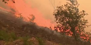Ondas de calor levam a 500 mil mortes por ano