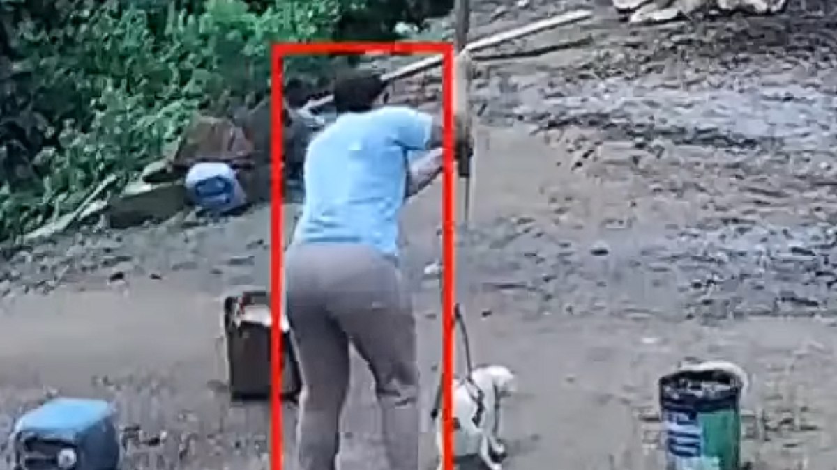 Casal denunciado pela morte do cão
“Branquinho” vira réu