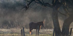 Sul tem alerta para queda brusca de temperaturas e registra geada