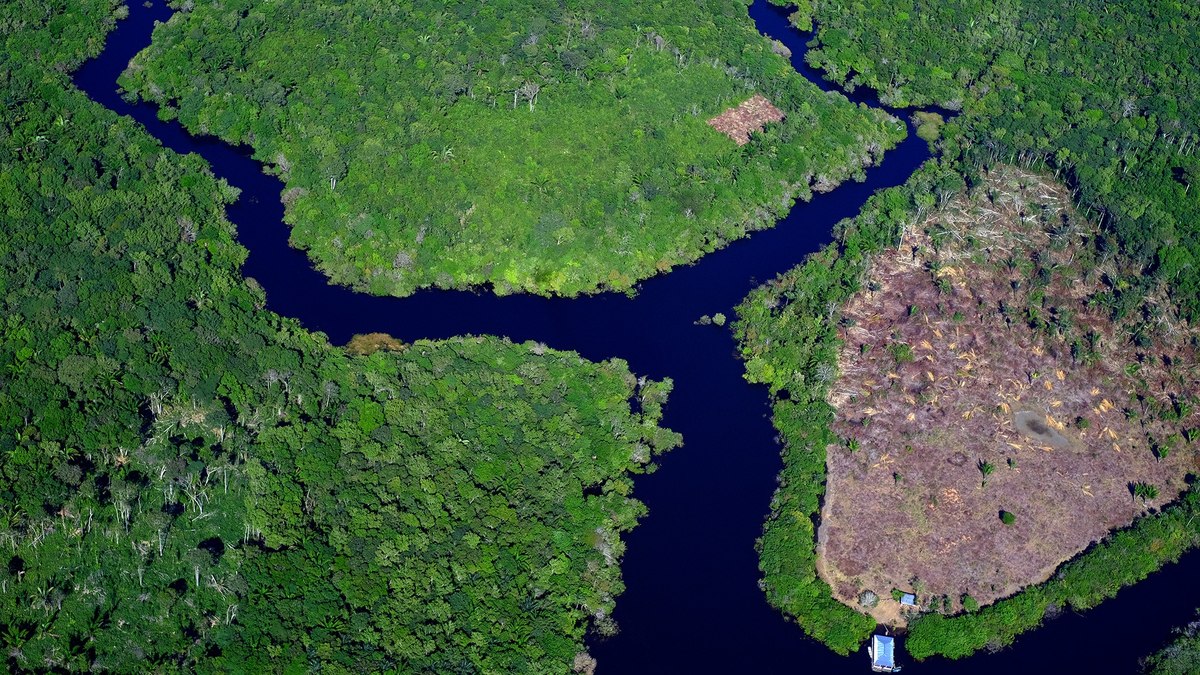 Áreas de desmatamento no município de Careiro da Várzea, no Amazonas próximo às Terras Indígenas do povo Mura