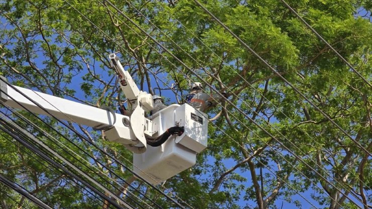 CPFL e Vinhedo implantam o projeto Arborização + Segura