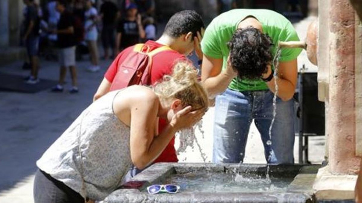 Ola de calor: Portugal y España estiman más de 1.000 muertos |  Mundo