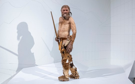 Homem congelado há 5.300 anos ainda abriga vida
