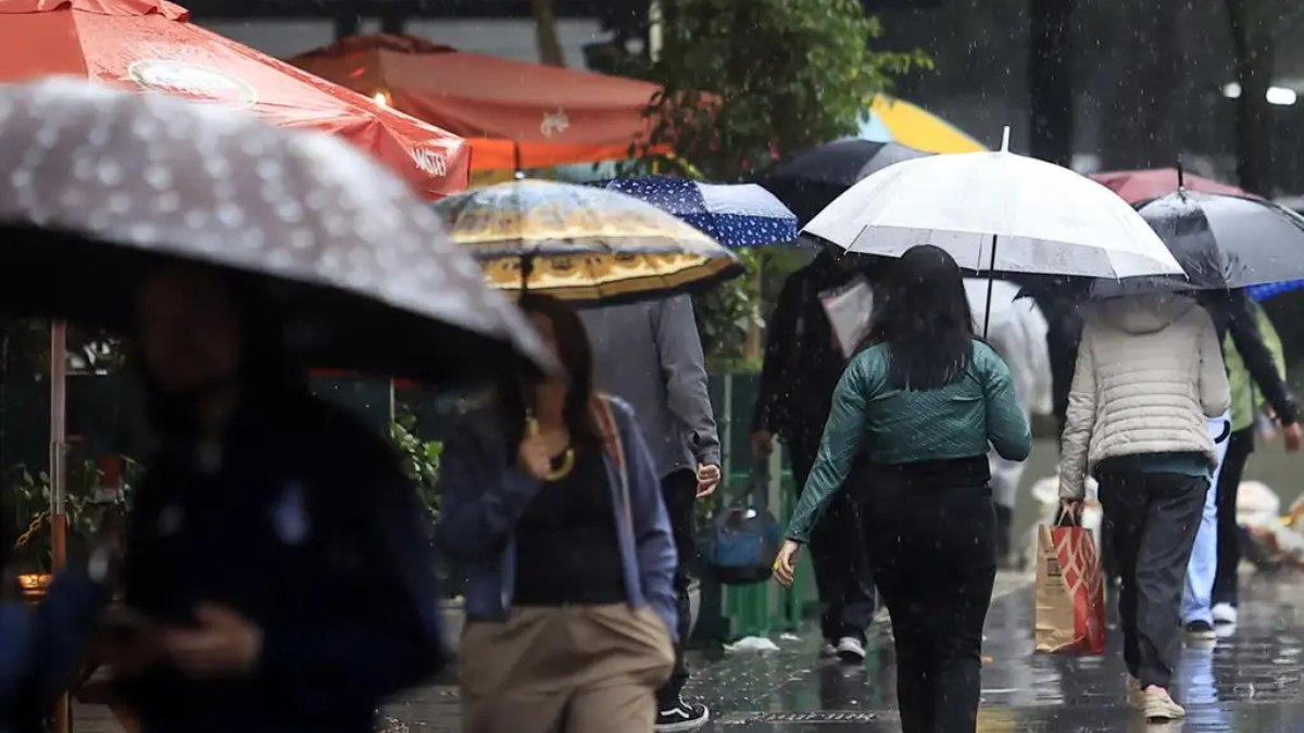 Fim do inverno terá chuva em 11 estados;
confira
