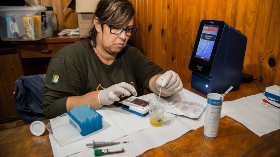 Bióloga brasileira vence prêmio internacional por recuperação de onças-pintadas no Paraná Bióloga brasileira vence prêmio internacional por recuperação de onças-pintadas no Paraná