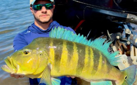 Pescador bate recorde de maior Tucunaré Azul no Rio Paranaíba