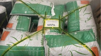 Ra%C3%A7%C3%A3o%20contaminada%20mata%20dezenas%20de%20cavalos%3B%20veja%20onde