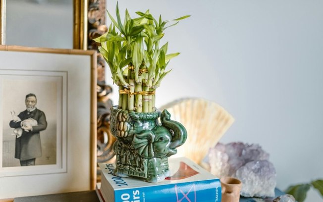 Feng Shui de Primavera: o que mudar na decoração de casa?