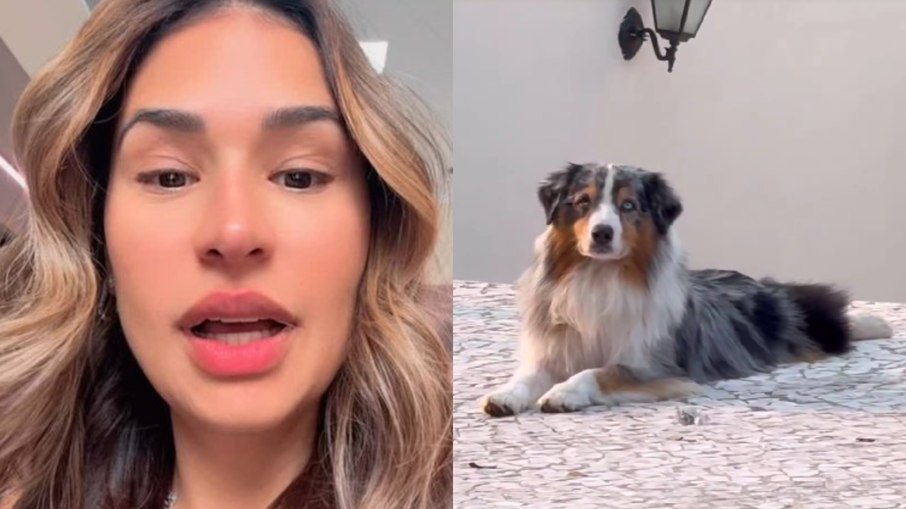 Vizinho critica Simone Mendes por falta de cuidado com o cachorro: 'Pet é amor constante'