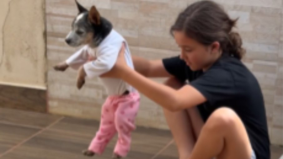 Cachorrinho esbanja paciência ao ser vestido com roupas de bebê Cachorrinho esbanja paciência ao ser vestido com roupas de bebê