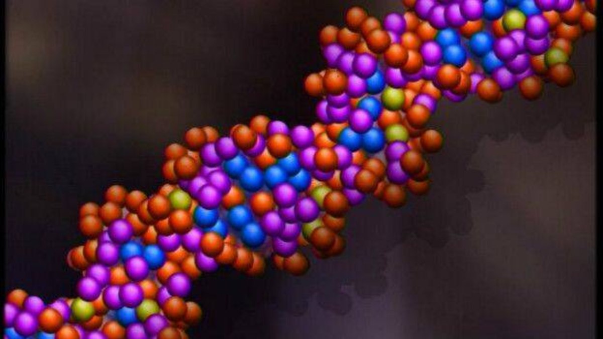 Reino Unido identifica nova variante de mpox após caso ligado a viagem à Ásia Reino Unido identifica nova variante de mpox após caso ligado a viagem à Ásia