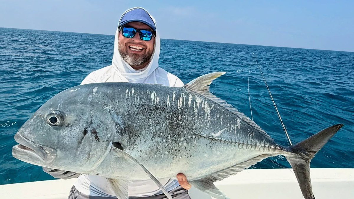 Xaréu gigante: o peixe que desafia tubarões no mar