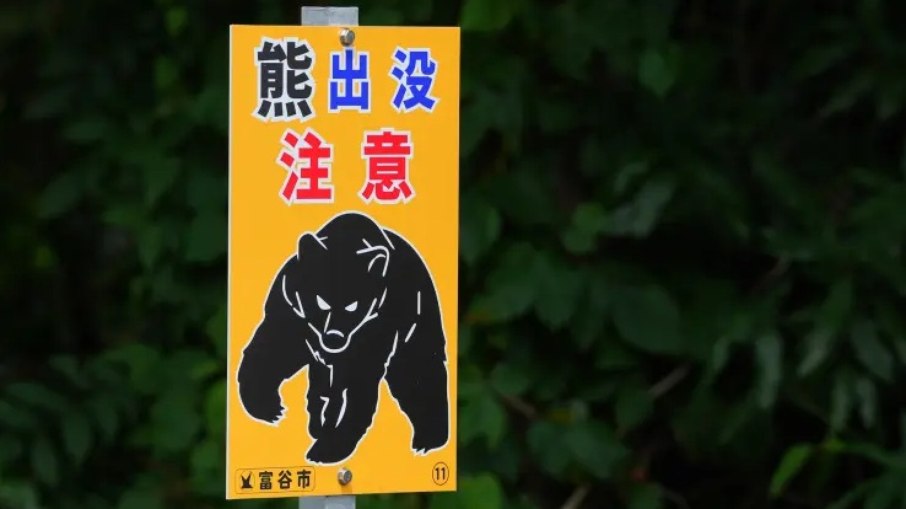 Filho é preso após polícia confundir assassinato com ataque de urso