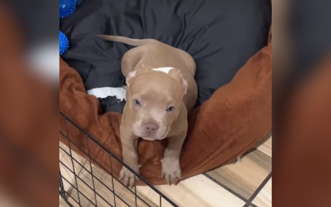 9err15s9nrkxkyhoslybe9bd0