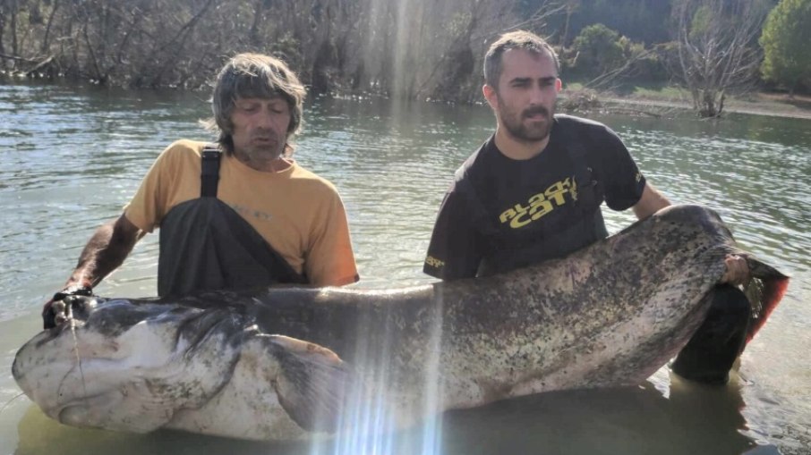 Pescadores levaram cerca de duas horas para cansar e retirar o peixe da água