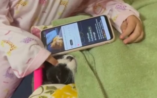 Gatinha ganha rotina de bebê com direito a berço e música