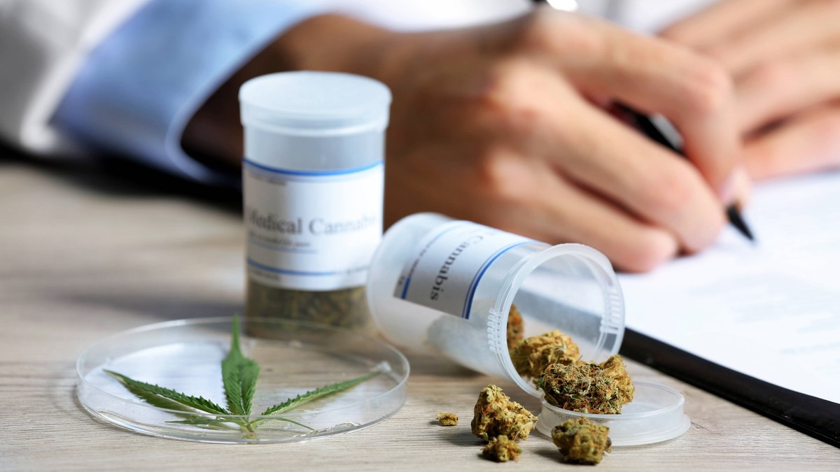 Maconha - Cannabis 