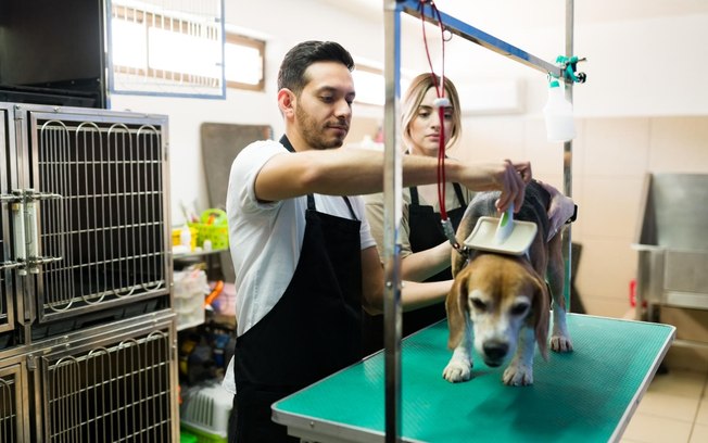 CEO lista dicas e tendências para profissionais do setor pet